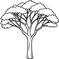 jacaranda tree, illustration line art vector
