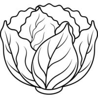 a coloring page of an food napacabbage with no color just black lines, illustration line art vector