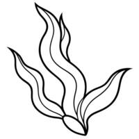 a simple single-line art drawing of a beautiful black and white kelp, illustration line art vector