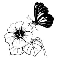 a butterfly is extracting nectar from a nasturtium flower, illustration line art vector