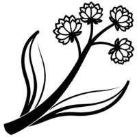 ornamental onion flowers on a crooked branch, illustration line art vector