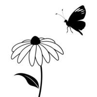 a butterfly is extracting nectar from a rudbeckia flower, illustration line art vector
