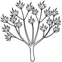 a coloring page of an food fennel with no color just black lines, illustration line art vector