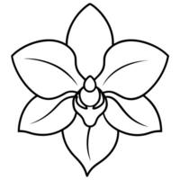 an image of orchid silhouette with a white background, illustration line art vector