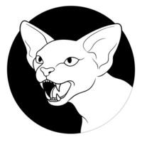 sphynx cat bites aggressively with fangs, illustration line art vector