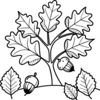 autumn yellow leaves of oak tree with acorns in autumn park fall background with leaves in sun vector