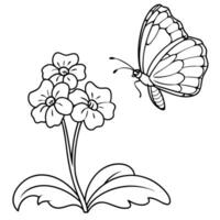 a butterfly is extracting nectar from a primrose flower, illustration line art vector