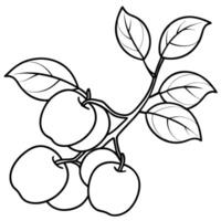 a bunch of apples on a branch, illustration line art vector