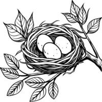 a birds nest on a tree branch houses three eggs, illustration line art vector