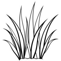 grass no color pages, illustration line art vector