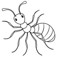 a coloring page of an ant with no color just black lines, illustration line art vector