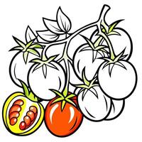 a delightful illustration of grape tomatoes on a crisp white background illustrate a vector