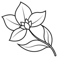 a simple black and white line drawing of a stylized jasmine flower with a stem and leaves, vector