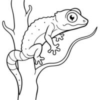 a leaf-tailed gecko camouflaged on a tree, with its distinct tail shape, illustration line vector