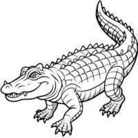 a crocodile , full view , illustration line art vector