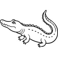 an alligator swimming, with rough skin texture and a powerful tail, illustration line art vector