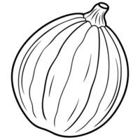 a vibrant illustration of a spaghetti squash on a clean white background showcase the vector