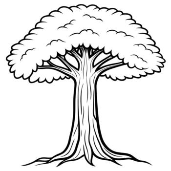 an impressive sequoia tree with its massive trunk, overgrown with the flowing, graceful branches of vector