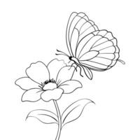 a butterfly is extracting nectar from a anemone flower, illustration line art vector