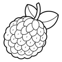 a coloring page of an food lychee with no color just black lines, illustration line art vector