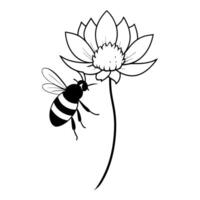 a bee is extracting honey from a scabiosa flower, illustration line art vector