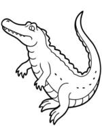 crocodile, illustration line art vector