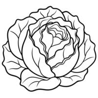 a coloring page of an food radicchio with no color just black lines, illustration line art vector