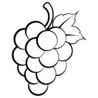 3d rendering of dynamic grape with silhouette beautiful line art, illustration line art vector