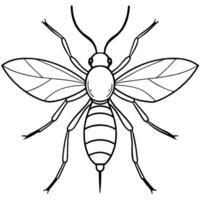 a coloring page of an midge with no color just black lines, illustration line art vector