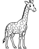 a tall giraffe drawn in clean lines with distinct spots, standing in a grassy field for children to vector