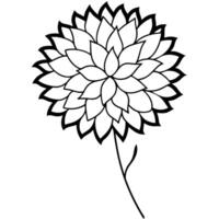 an image of chrysanthemum silhouette with a white background, illustration line art vector