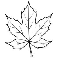 falling leaf, a single, large maple leaf gently falling through the air, illustration line vector