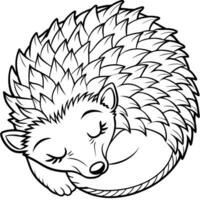 a sleepy hedgehog curled up in a ball, illustration line art vector
