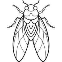 a coloring page of an cicada with no color just black lines, illustration line art vector