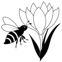 a bee is extracting honey from a crocus flower, illustration line art vector