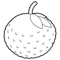 a coloring page of an food lychee with no color just black lines, illustration line art vector