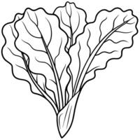 a coloring page of an food swisschard with no color just black lines, illustration line art vector