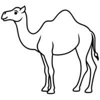 camel on white background, illustration line art vector