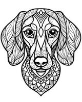 an intricate line art illustration of a dachshunds head filled with detailed patterns and vector
