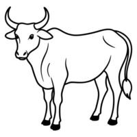 a ox, illustration line art vector