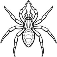 a close up of a spider isolated on a transparent background , illustration line art vector