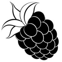 3d rendering of dynamic raspberry silhouette beautiful line art, illustration line art vector