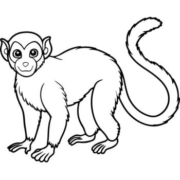 the central american squirrel monkey file transparent background with , vector