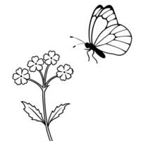a butterfly is extracting nectar from a verbena flower, illustration line art vector