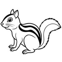 chipmunk on a white background, illustration line art vector