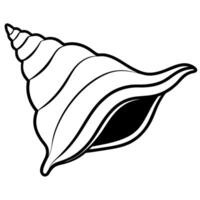 3d rendering of dynamic conch with silhouette beautiful line art, illustration line art vector