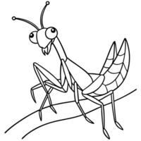 a praying mantis with a playful pose, sitting on a branch, illustration line art vector