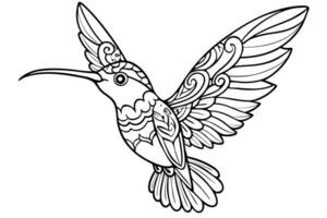 intricate hummingbird line drawing, zentangle style, ornate feather patterns, black and white vector