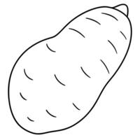 a coloring page of an food yam with no color just black lines, illustration line art vector
