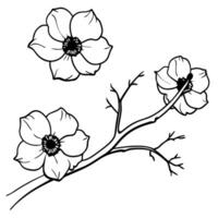 anemone flowers on a crooked branch, illustration line art vector